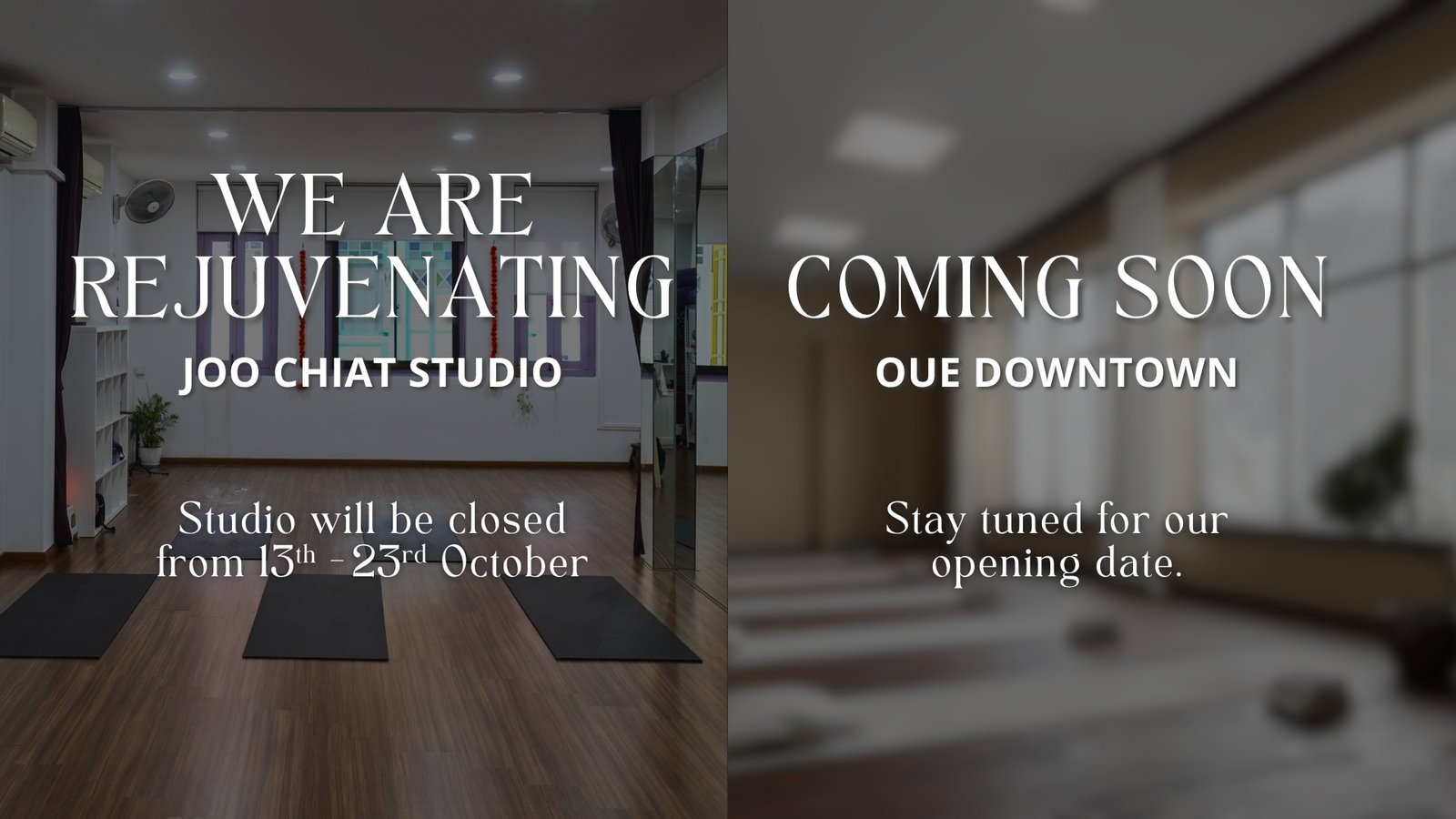 Ojas website banner-2