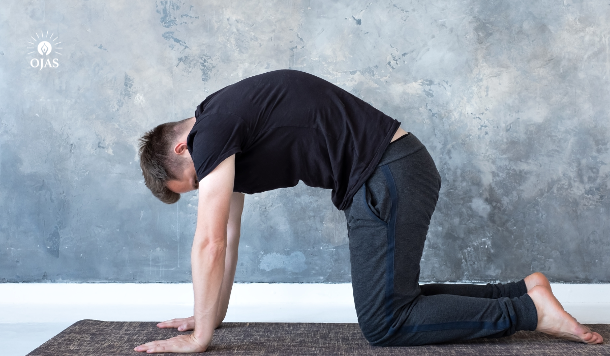 Not Another Workout: Why Ojas Yoga Champions the Art of Doing Less