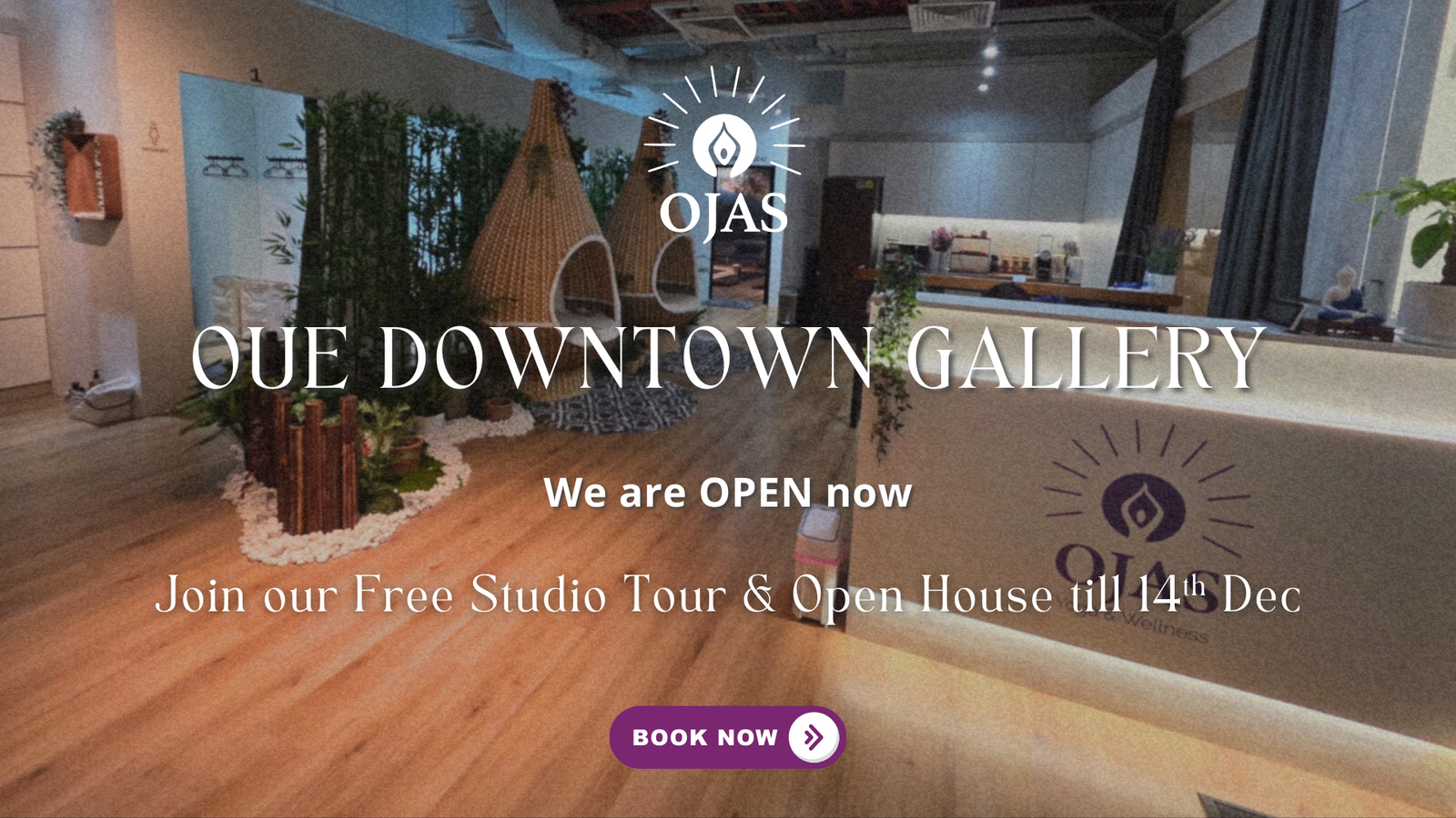 Ojas website banner (2)