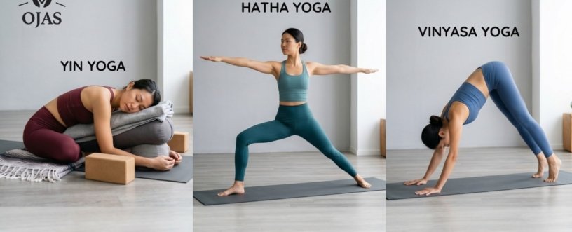 Yin vs Hatha vs Vinyasa