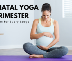 Prenatal Yoga by Trimester